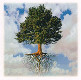 _images/tree.jpg